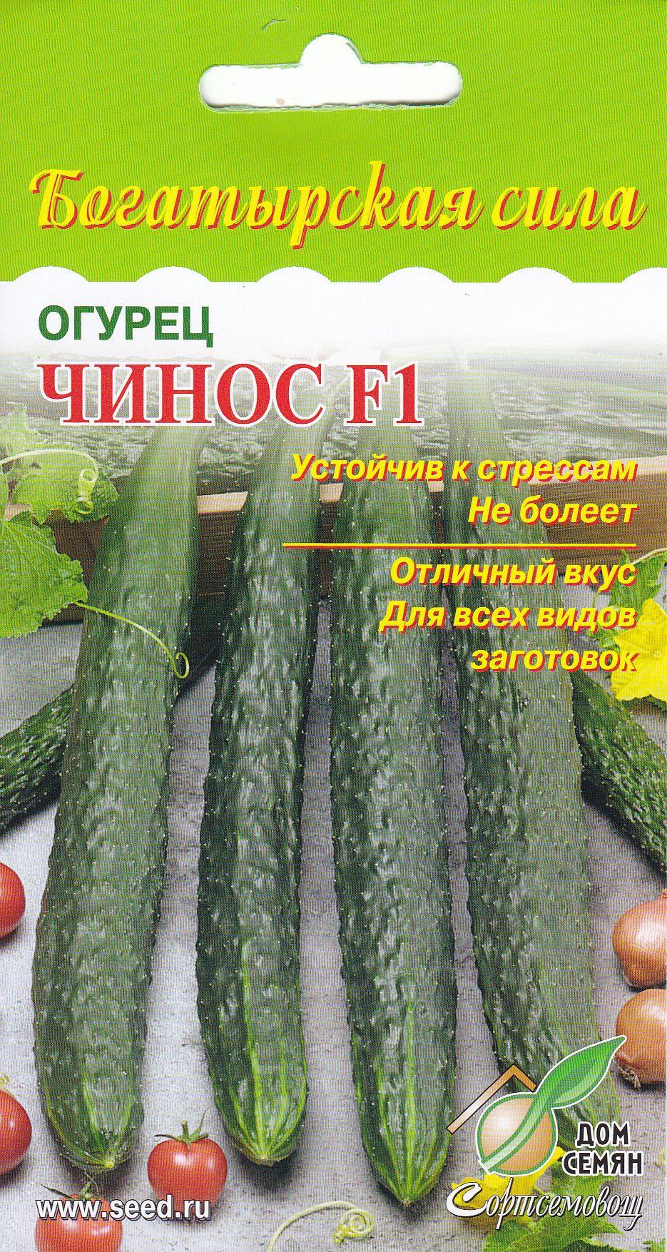 Огурец Чинос F1 - доставка почтой по России, продажа в СПб и Ленинградской  области